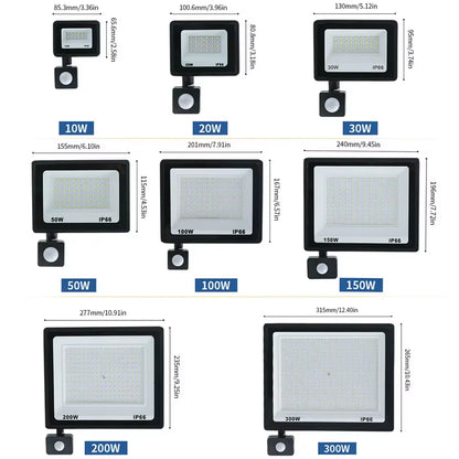 PIR Motion Floodlight – Outdoor Waterproof Blackout Security – IP66 – TSR